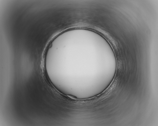 X0000102541366200809051524