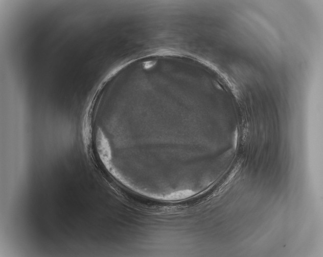 X0000102541367200809051524