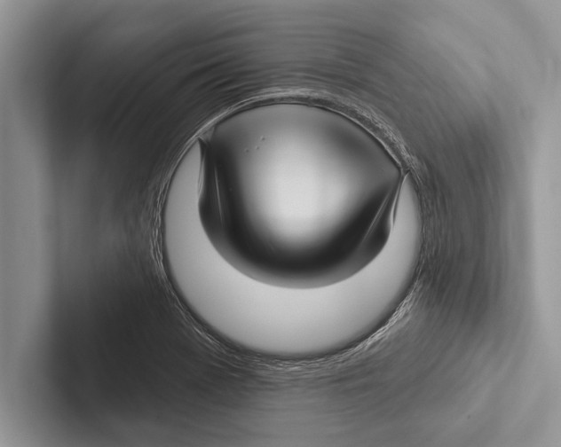 X0000102541369200809051524