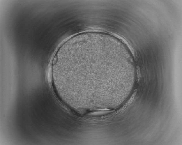 X0000102541371200809051524