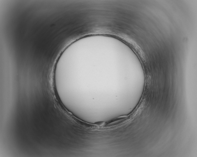 X0000102541374200809051524