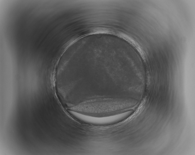 X0000102541377200809051524