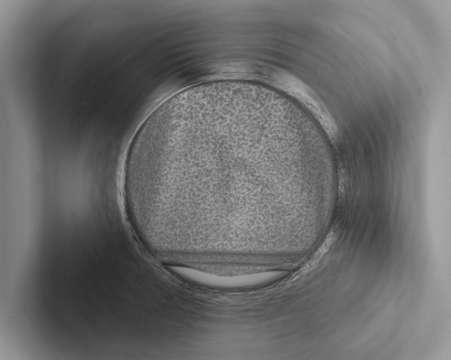 X0000102541378200809051524