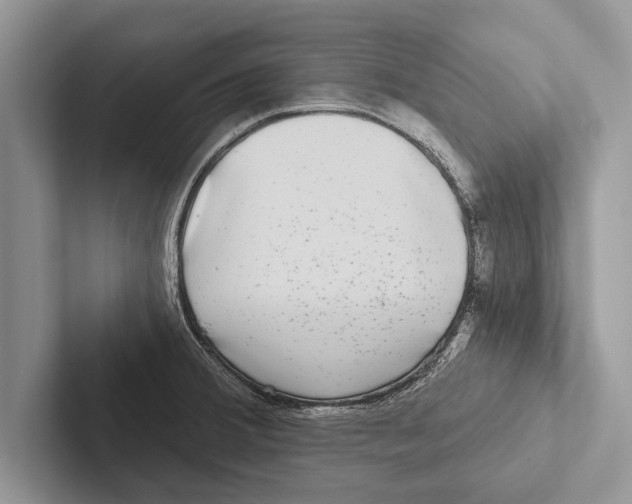 X0000102541380200809051524