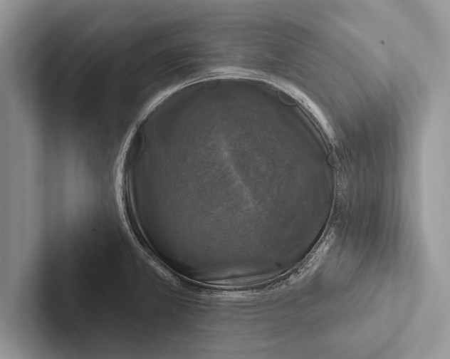 X0000102541381200809051524