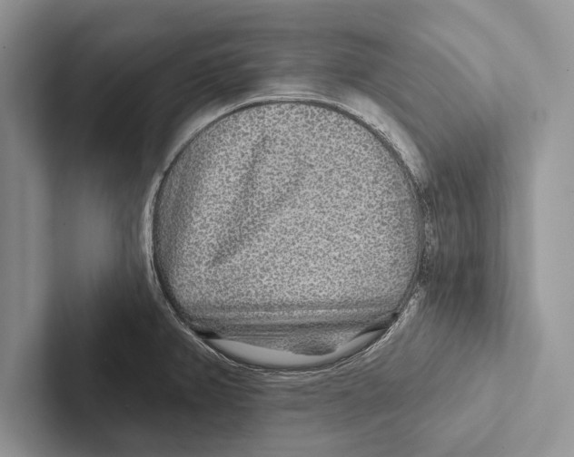 X0000102541382200809051524