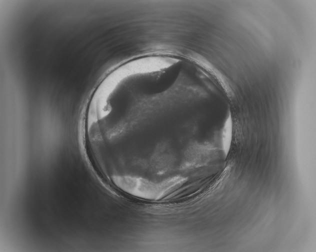 X0000102541383200809051524