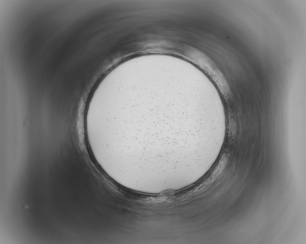 X0000102541384200809051524