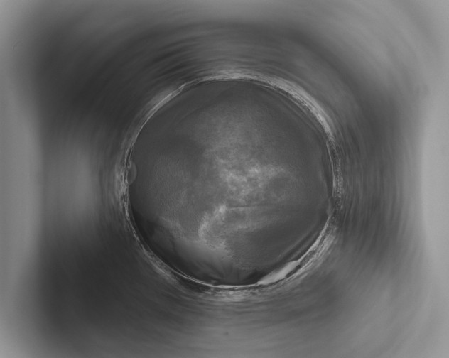 X0000102541385200809051524