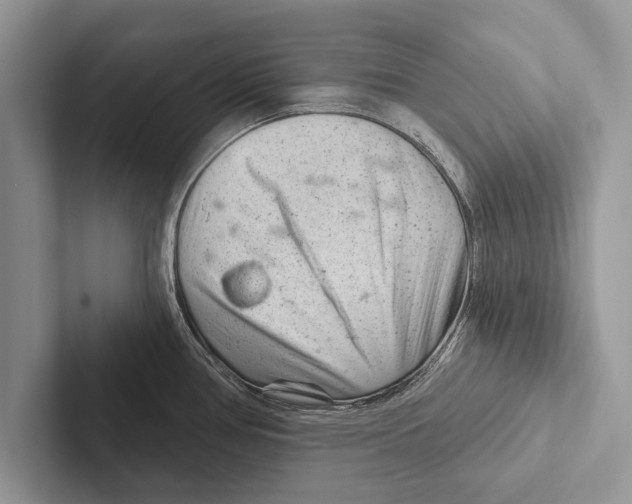 X0000102541386200809051524