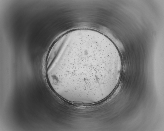 X0000102541388200809051524