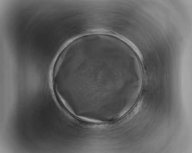 X0000102541389200809051524