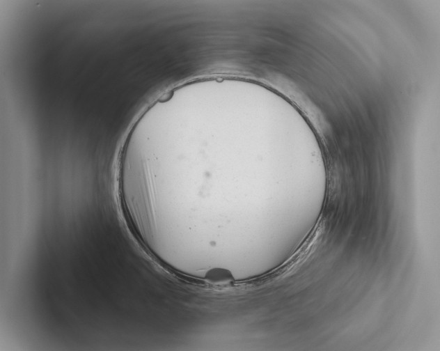 X0000102541390200809051524