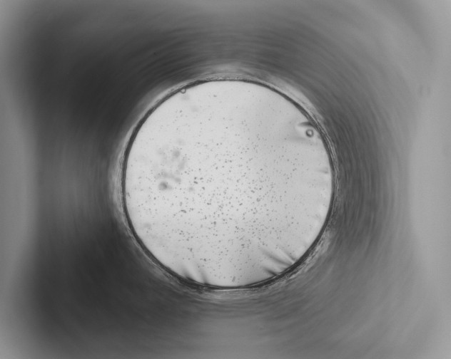 X0000102541392200809051524