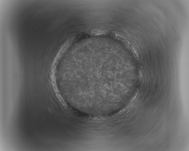 X0000102541393200809051523