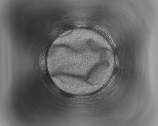 X0000102541396200809051523