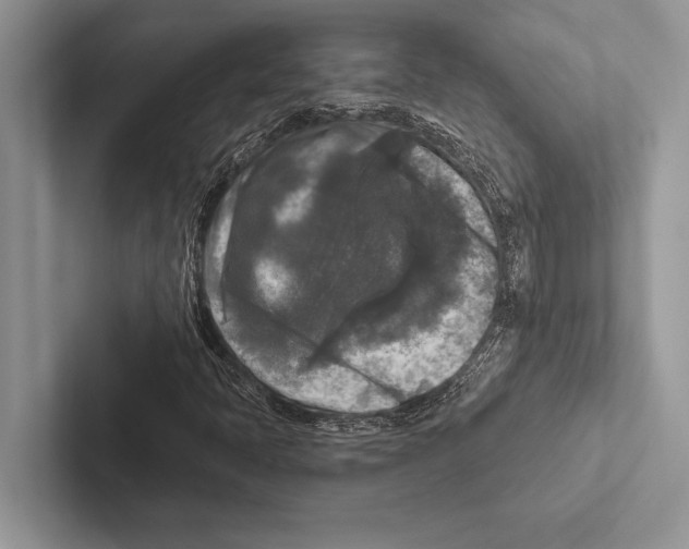 X0000102541397200809051523