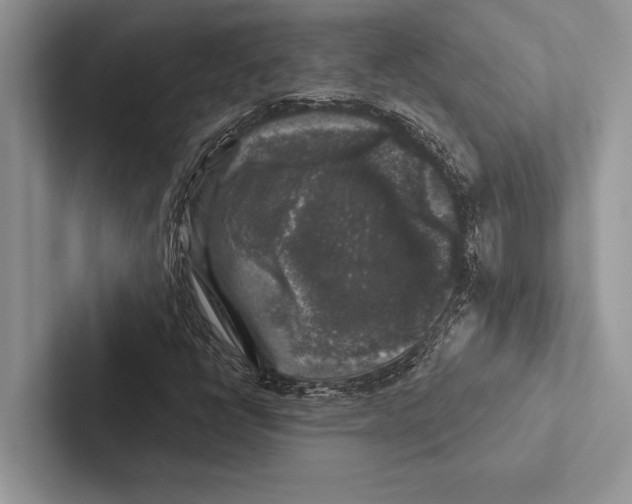 X0000102541398200809051523