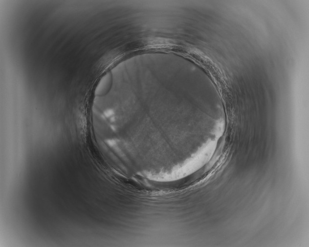 X0000102541401200809051523