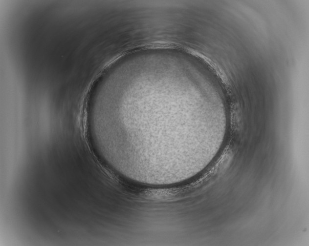 X0000102541402200809051523