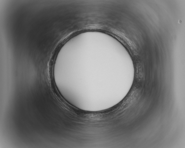 X0000102541404200809051523