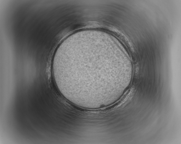 X0000102541409200809051523