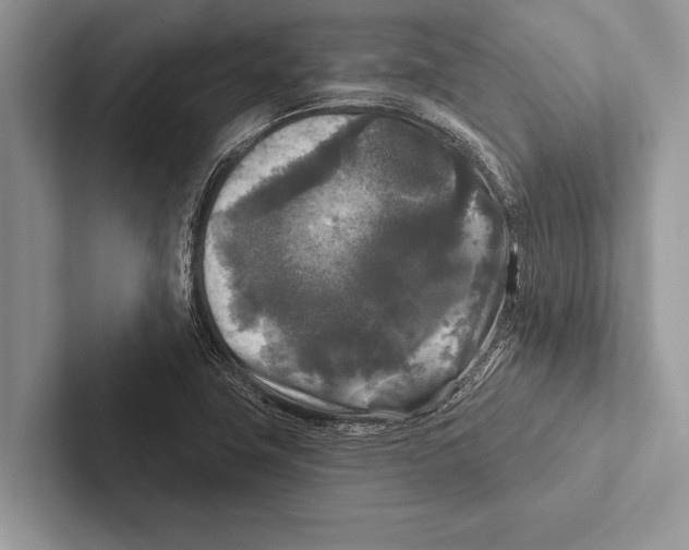 X0000102541411200809051523