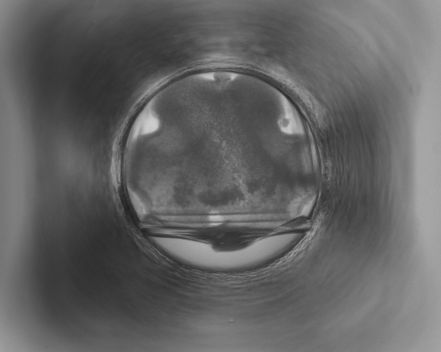 X0000102541413200809051523