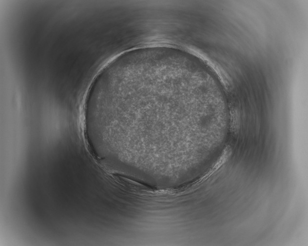 X0000102541415200809051523