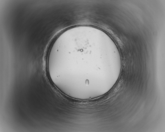 X0000102541416200809051523