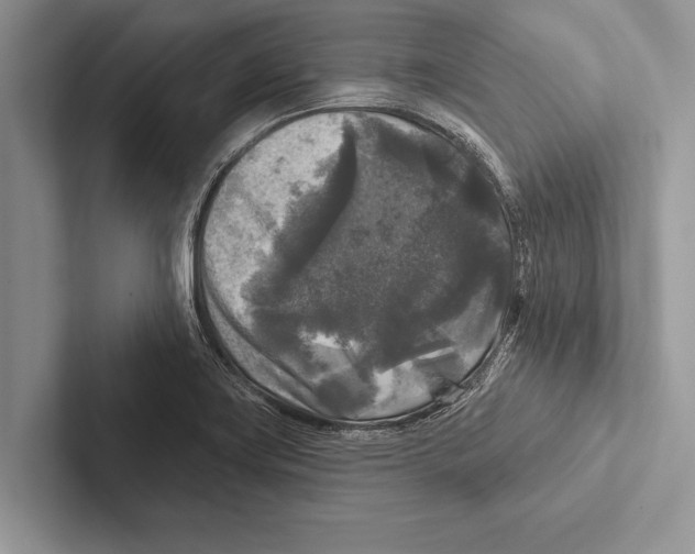 X0000102541419200809051523