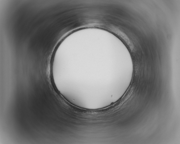 X0000102541420200809051523