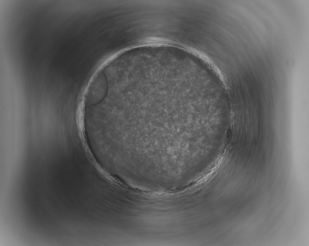 X0000102541421200809051523