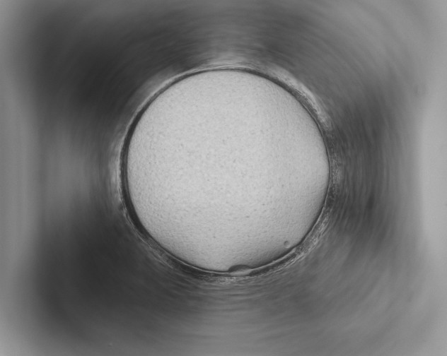 X0000102541423200809051523