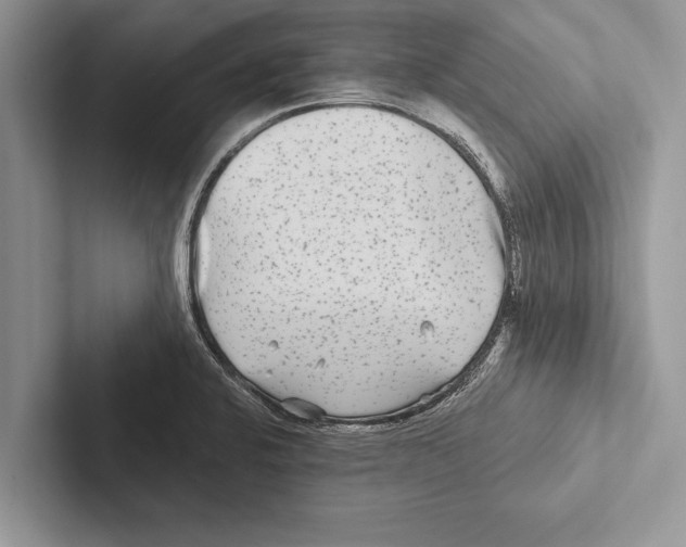 X0000102541424200809051523