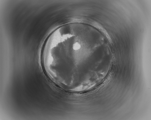 X0000102541427200809051523