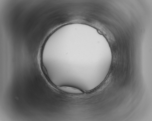 X0000102541430200809051523