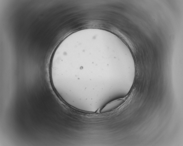 X0000102541434200809051524