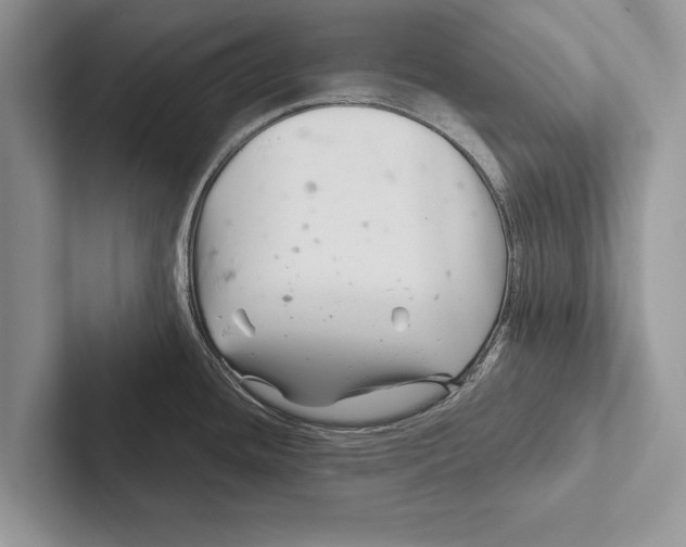 X0000102541436200809051524