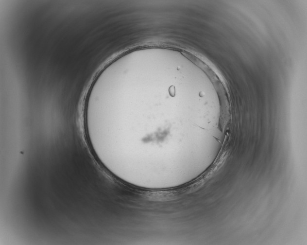 X0000102541437200809051524