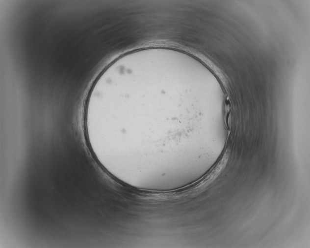 X0000102541438200809051524