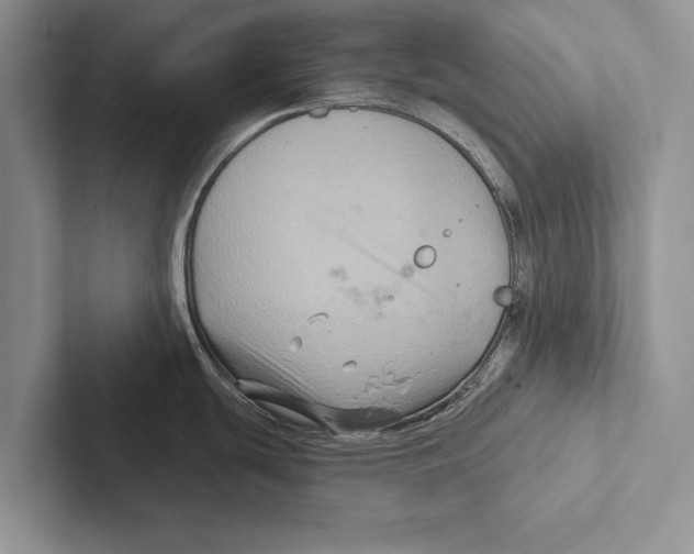 X0000102541439200809051524