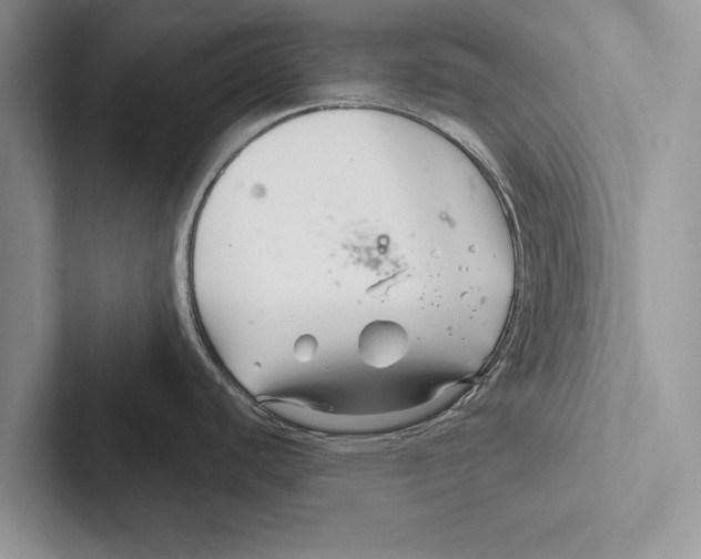 X0000102541440200809051524