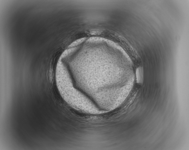 X0000102541443200809051523