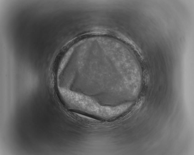 X0000102541448200809051523