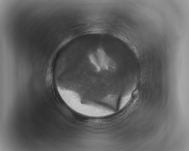 X0000102541450200809051523