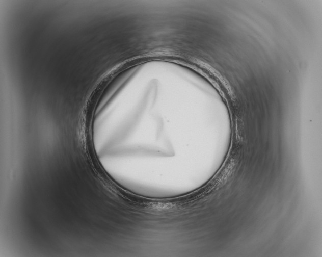 X0000102541452200809051523