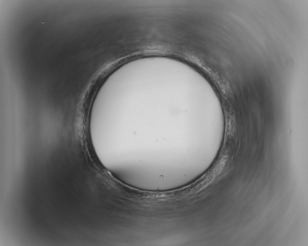 X0000102541454200809051523