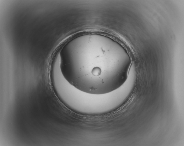 X0000102541456200809051523