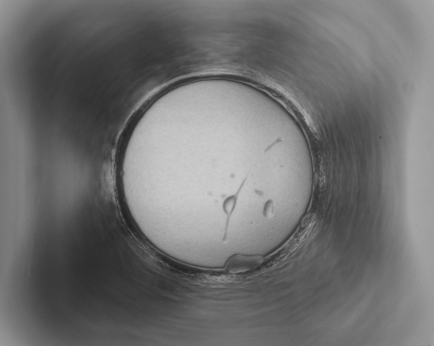 X0000102541460200809051523